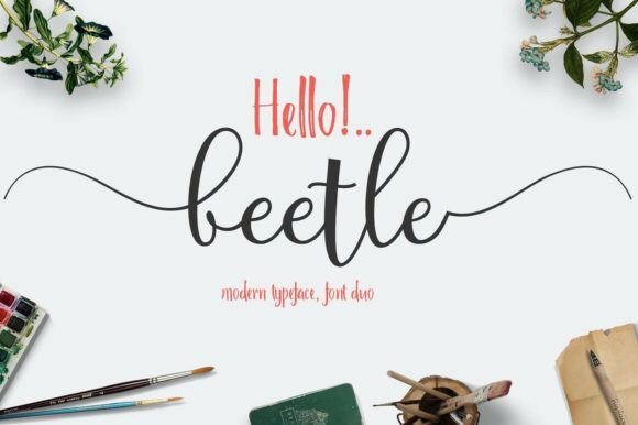 Beetle Duo Font: A Modern Typeface for Elegant Web Design