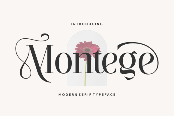 Montege Typeface: Elevating Digital Brand Elegance