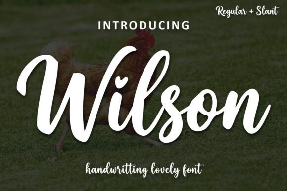 Wilson Typeface: A Charismatic Handwritten Font for Intimate Branding